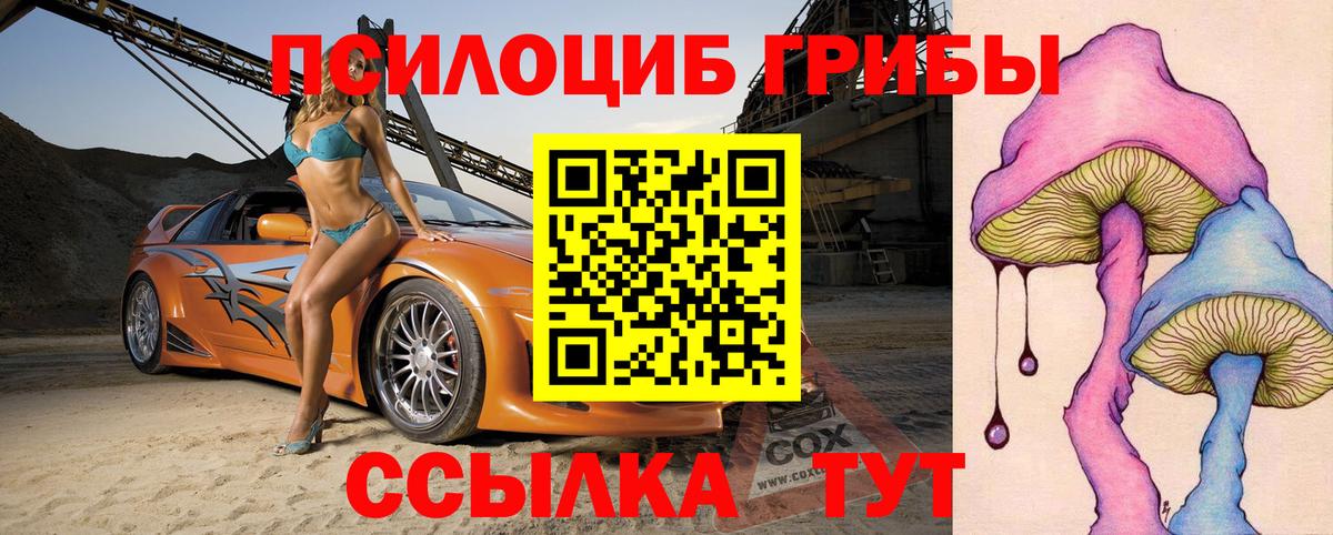 Псилоцибиновые грибы Psilocybine cubensis Среднеуральск