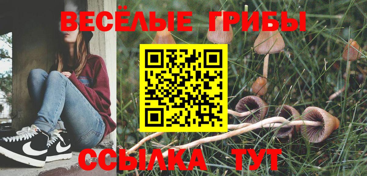 Псилоцибиновые грибы MAGIC MUSHROOMS  Вход с VPN  Среднеуральск  Псилоцибиновые грибы Magic Shrooms 